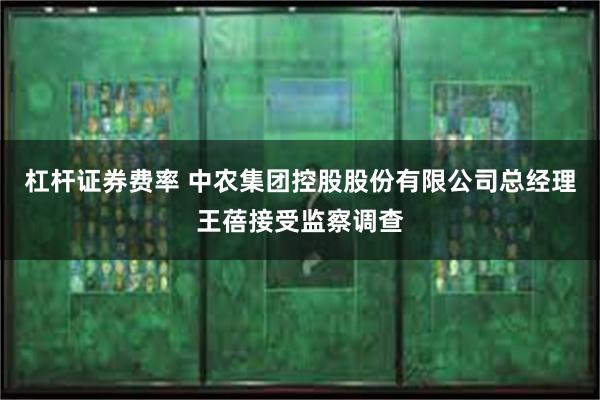 杠杆证券费率 中农集团控股股份有限公司总经理王蓓接受监察调查