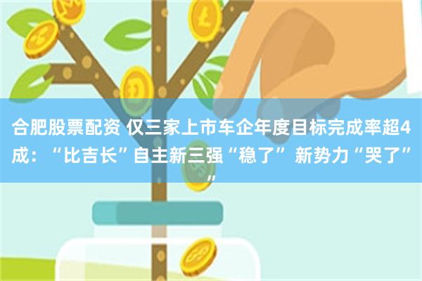 合肥股票配资 仅三家上市车企年度目标完成率超4成：“比吉长”自主新三强“稳了” 新势力“哭了”