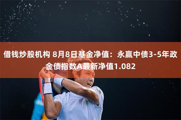 借钱炒股机构 8月8日基金净值：永赢中债3-5年政金债指数A最新净值1.082