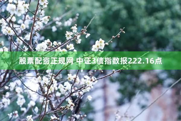 股票配资正规网 中证3债指数报222.16点