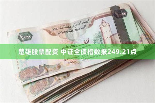 楚雄股票配资 中证全债指数报249.21点