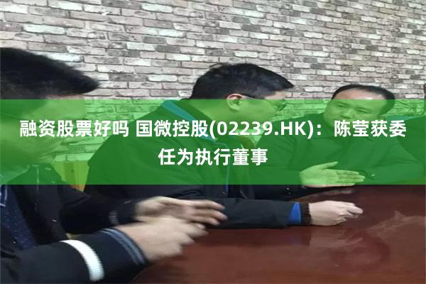 融资股票好吗 国微控股(02239.HK)：陈莹获委任为执行董事