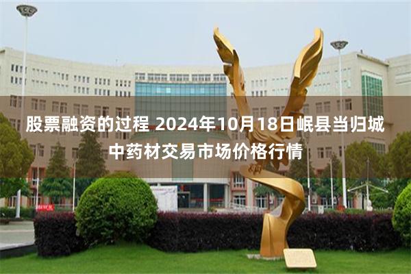 股票融资的过程 2024年10月18日岷县当归城中药材交易市场价格行情