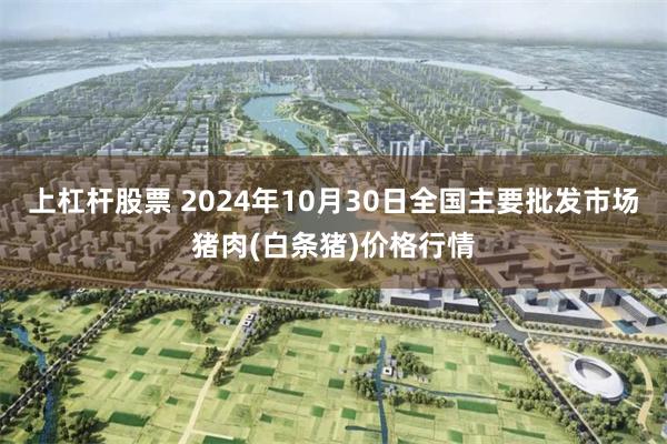 上杠杆股票 2024年10月30日全国主要批发市场猪肉(白条猪)价格行情