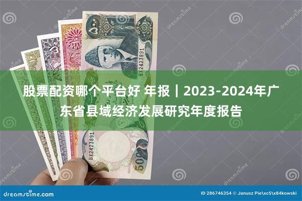 股票配资哪个平台好 年报｜2023-2024年广东省县域经济发展研究年度报告