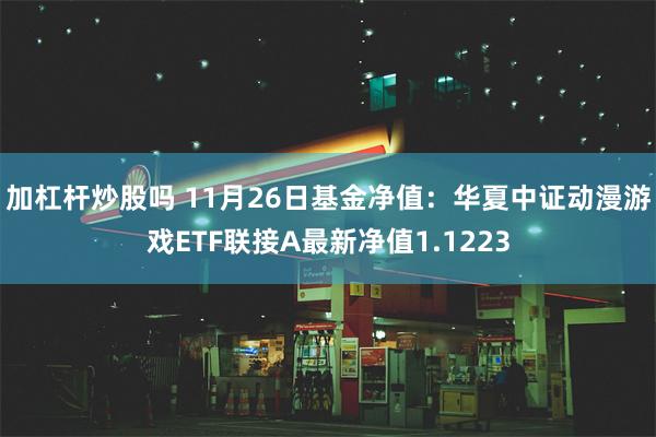 加杠杆炒股吗 11月26日基金净值：华夏中证动漫游戏ETF联接A最新净值1.1223