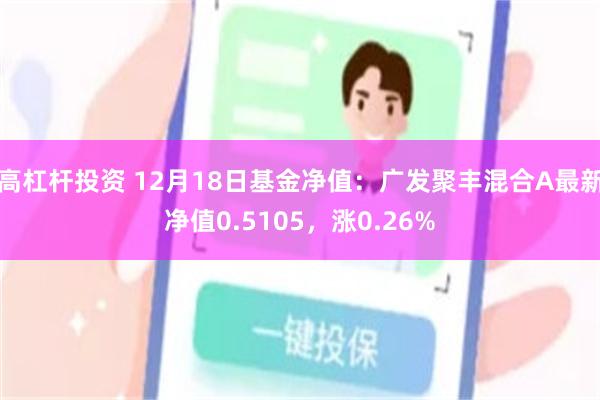 高杠杆投资 12月18日基金净值：广发聚丰混合A最新净值0.5105，涨0.26%