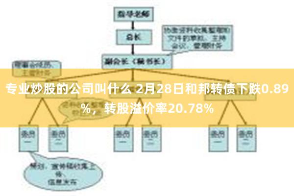 专业炒股的公司叫什么 2月28日和邦转债下跌0.89%，转股溢价率20.78%